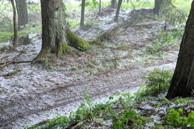 Coffee & Chainrings - Trainingstagebuch Vogesen Tag 2 - Tourabbruch wegen Unwetter
